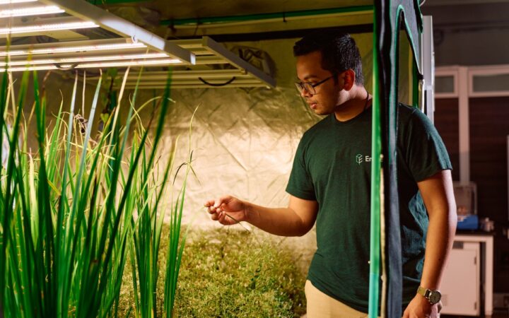 Enveda’s $311M Bet on AI Drug Discovery From Plants