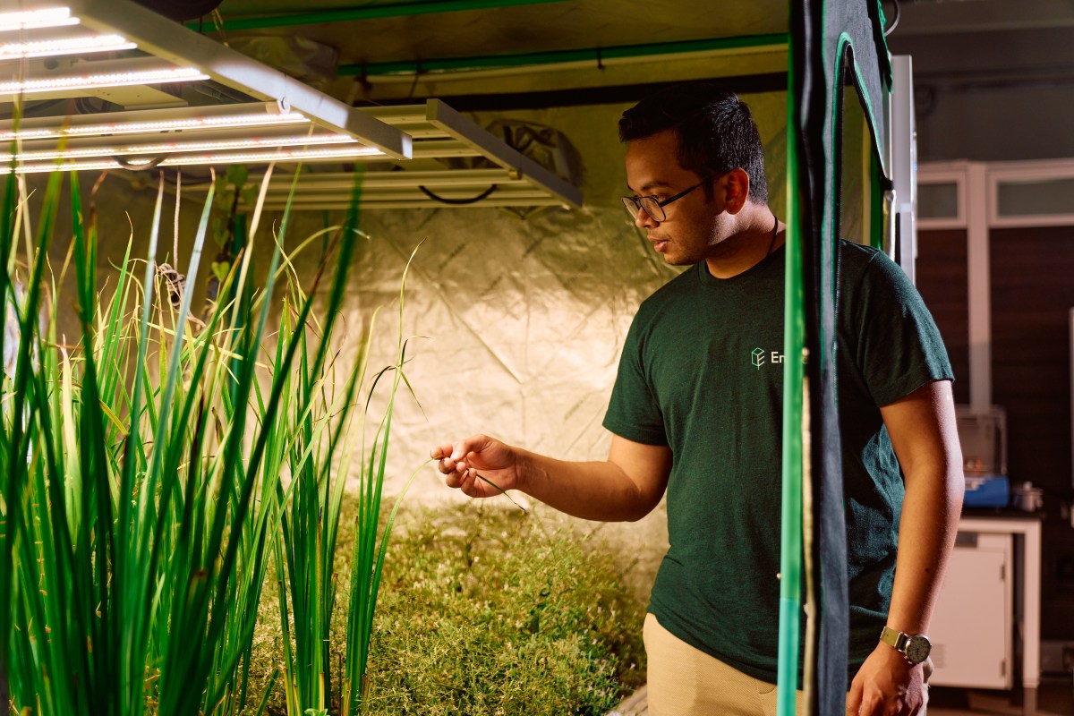 Enveda’s $311M Bet on AI Drug Discovery From Plants